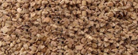 Dry Walnut Manufacturers and Suppliers