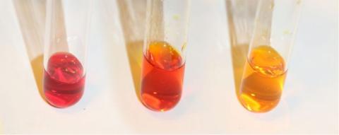 Methyl Red Indicator Solution | Methyl red test | Manufacturer And Suppliers