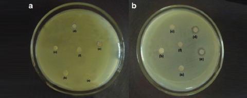 Biocide Antimicrobial Manufacturers And Suppliers