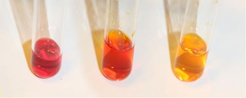 Methyl Red Indicator Solution | Methyl red test | Manufacturer And Traders