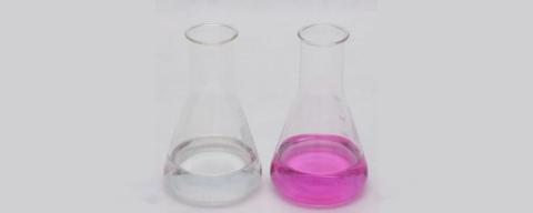 Phenolphthalein indicator (C20H14O4) | solution Manufacturers